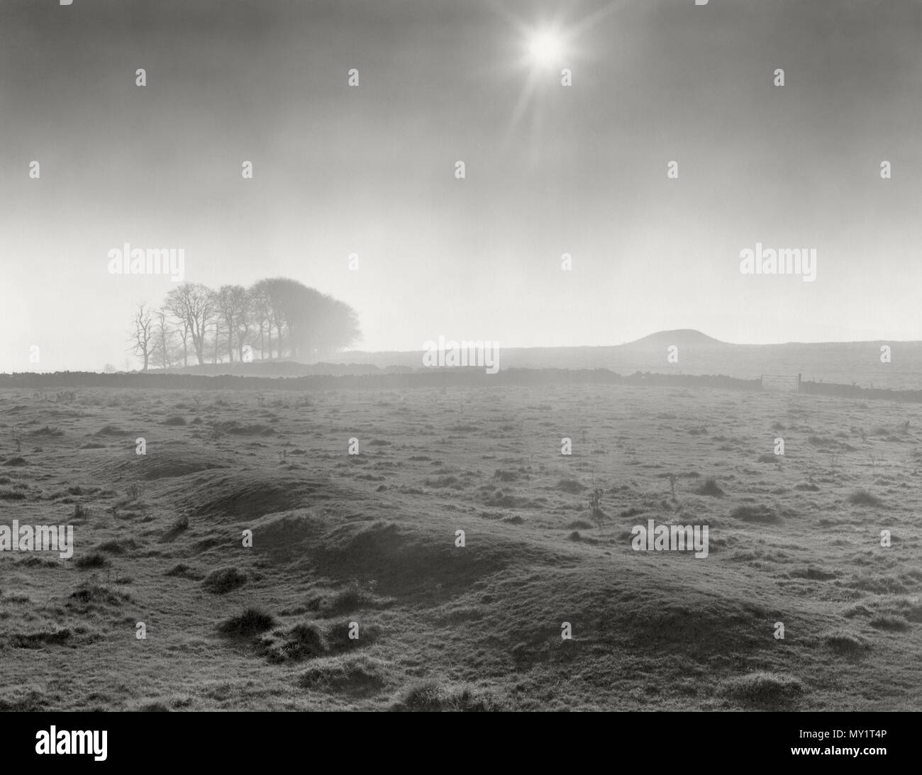 Gib Hill Bronzezeit runde Barrow, Derbyshire, UK: Ansicht SW über die niedrige, geschwungene Bank, die in Richtung der Barrow von Arbor niedrige Stone Circle läuft - Henge. Stockfoto