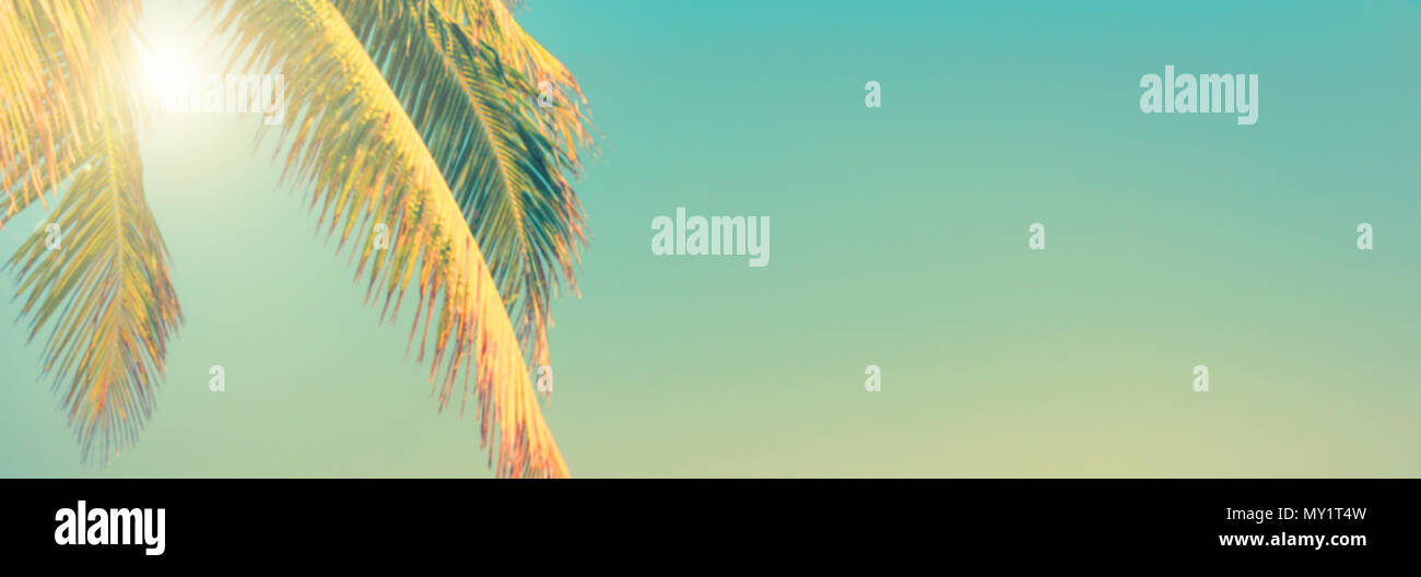 Tropical Beach und Palm Tree Panoramablick Hintergrund, sonnigen Himmel, vintage Sommer Konzept mit Kopie Raum Stockfoto