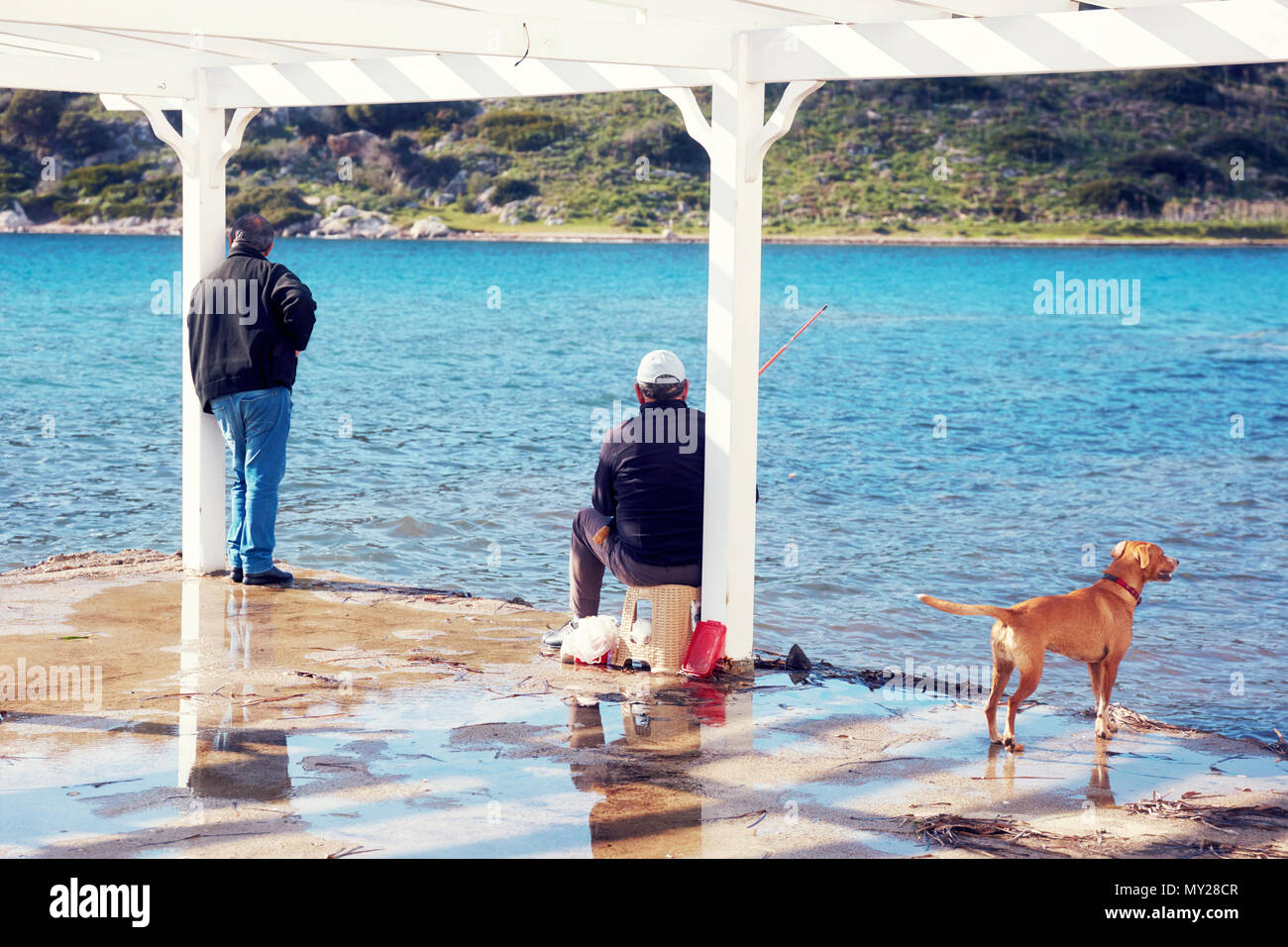 Rückseite Bewunderer Fischer, ein Hund und ein Mann das Meer in Bodrum Gumusluk Türkei. Stockfoto