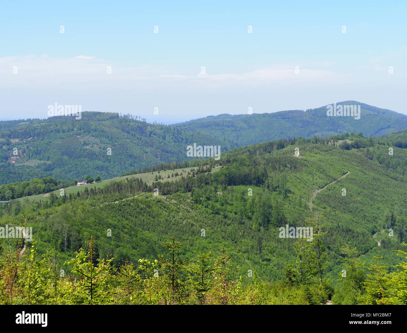Brilliante Salmopol Pass in der Nähe von Mount Kotarz in Schlesischen Beskiden Reihe Landschaften in der Nähe von europäischen Stadt Szczyrk in Polen mit klarem, blauem Himmel in Stockfoto