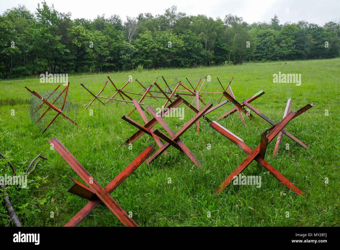 Tschechische Igel, Chambarran Militärlager, Isère, Frankreich Stockfoto