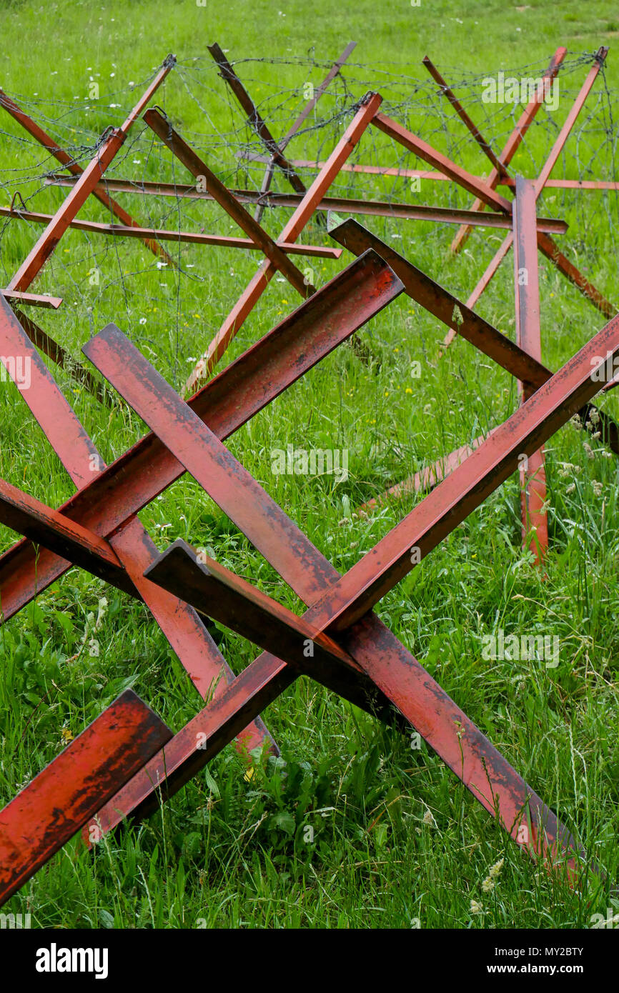 Tschechische Igel, Chambarran Militärlager, Isère, Frankreich Stockfoto