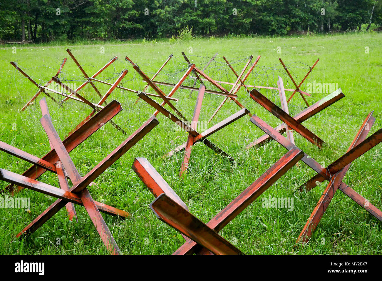 Tschechische Igel, Chambarran Militärlager, Isère, Frankreich Stockfoto
