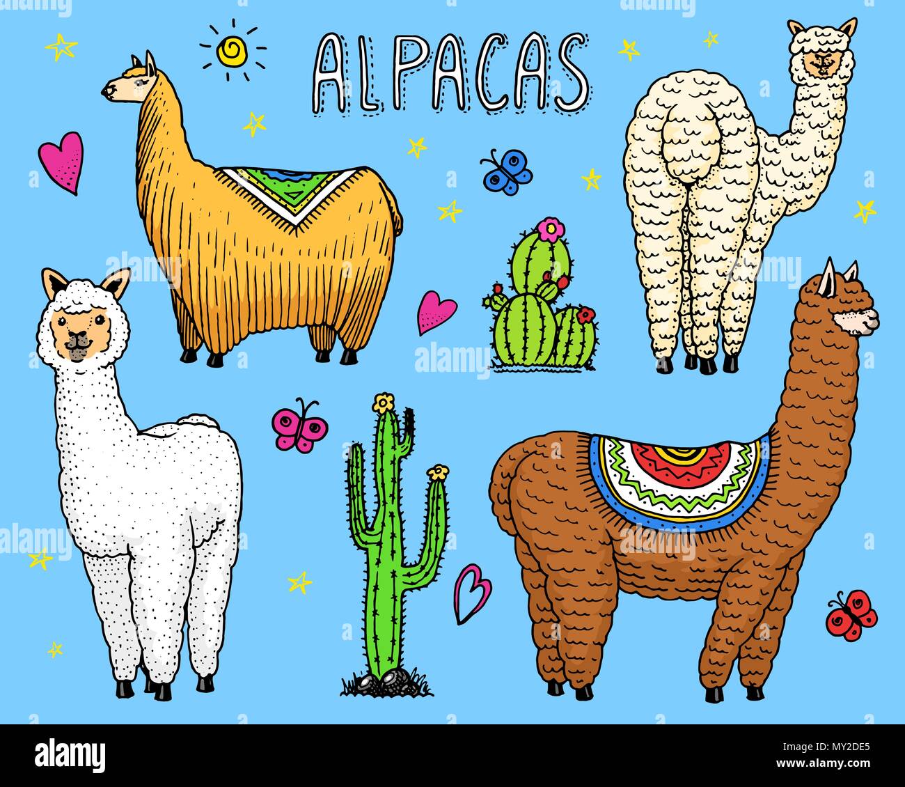 Satz Von Niedlichen Alpakas Lamas Oder Wildlebenden Guanako Auf Dem Hintergrund Der Kakteen Frohlich Lachelnd Tiere In Peru Fur Karten Plakate Einladungen T Shirts Hand Gezeichneten Elemente Graviert Skizze Stock Vektorgrafik Alamy