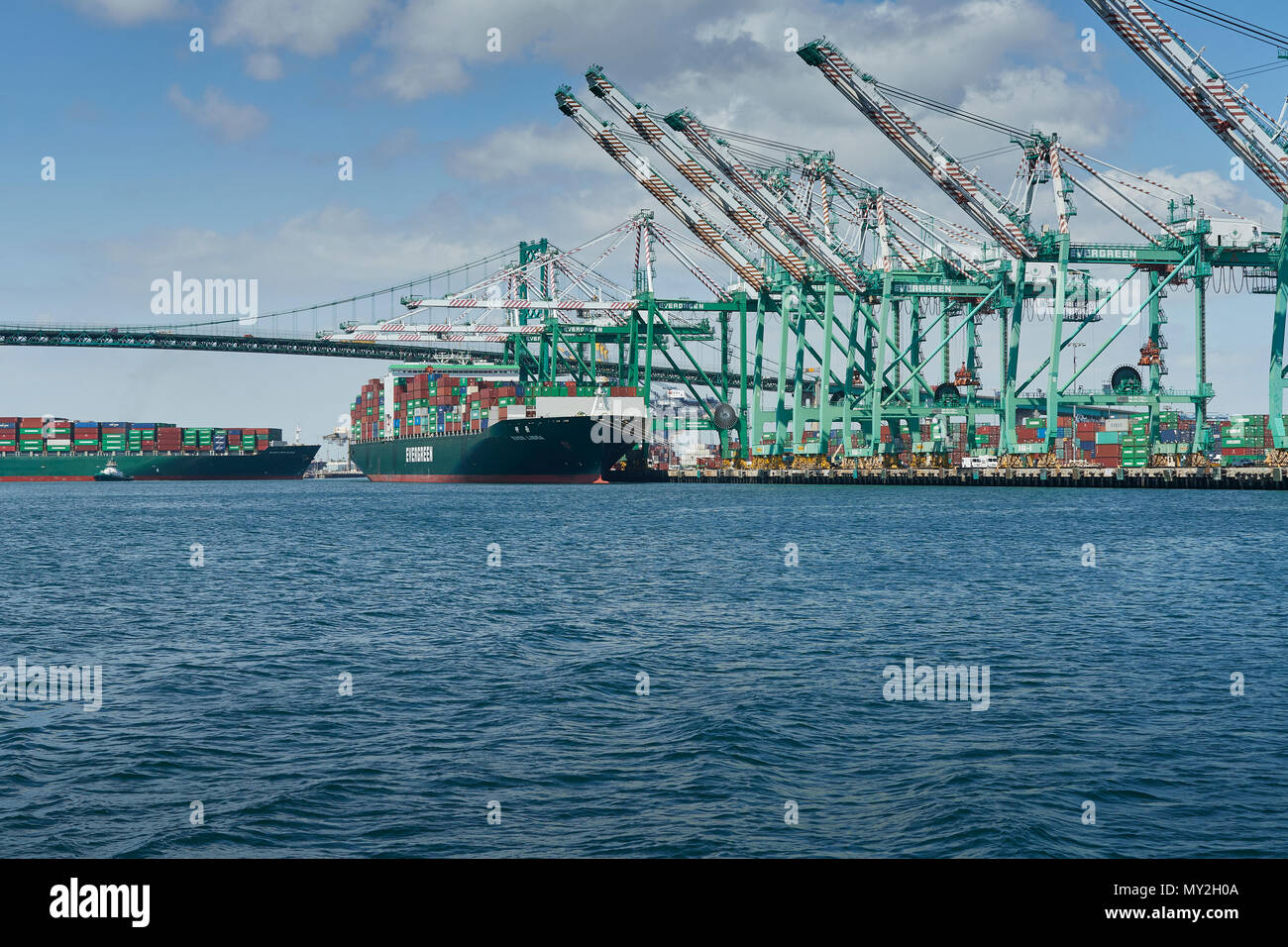 Das Containerschiff, EVER LIBRA, lädt und entlädt mit dem SEAMAX NEW HAVEN hinter sich in den Hafen von Los Angeles, Kalifornien, USA. Stockfoto
