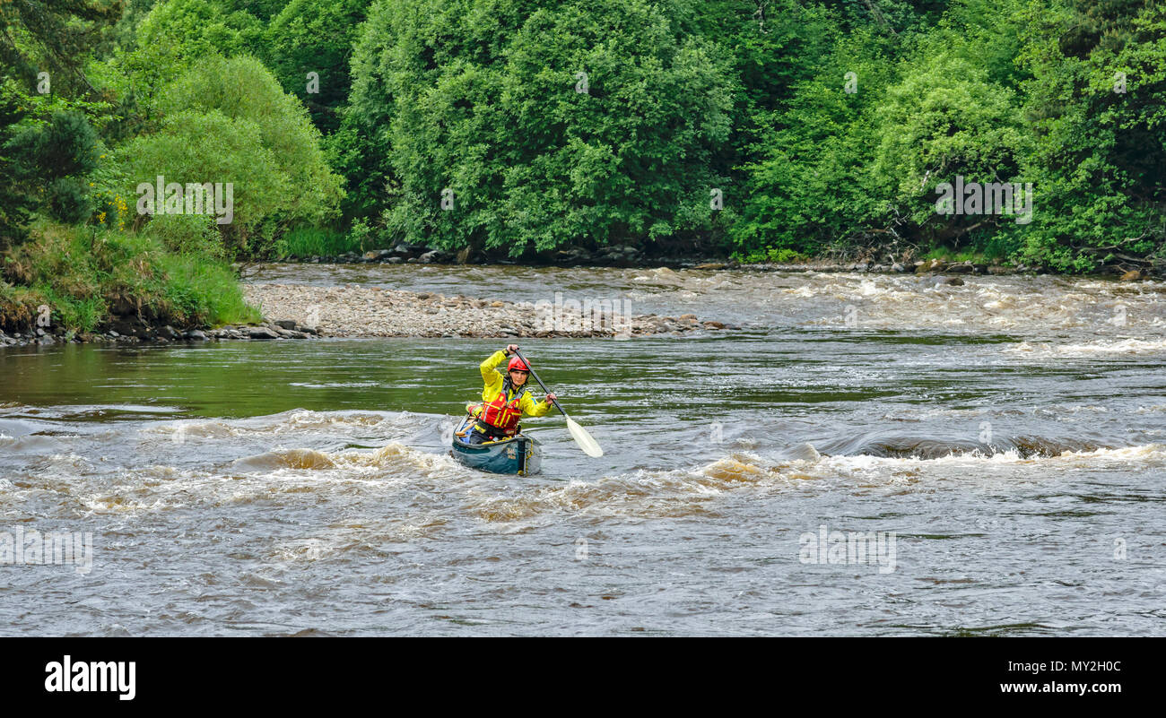 RIVER SPEY TAMDHU SCHOTTLAND KANU KANUTE RIVER WHITE WATER SINGLE DUNKELGRÜN KANU MIT EINER PERSON Stockfoto