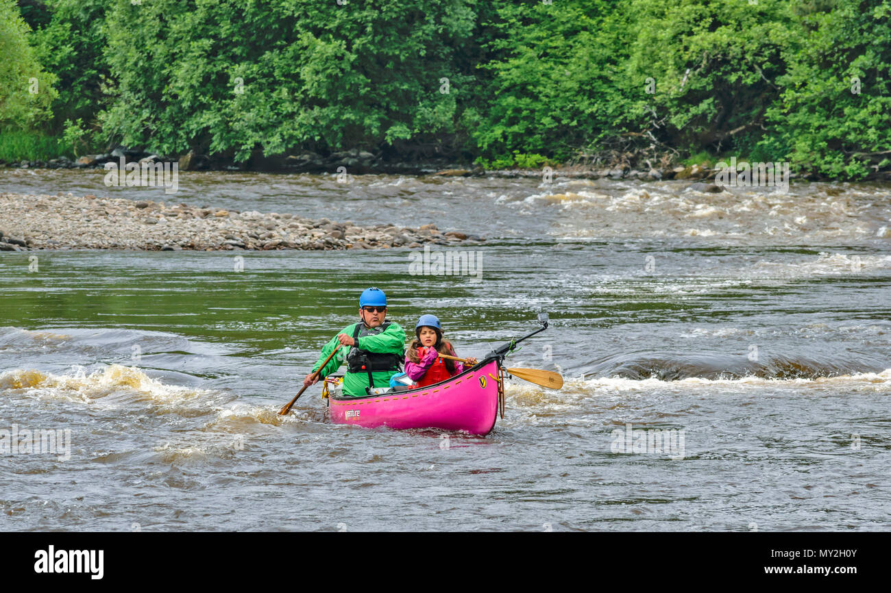 RIVER SPEY TAMDHU SCHOTTLAND KANU KANUTE RIVER WHITE WATER SINGLE MAGENTA Kanu mit zwei Personen an. Stockfoto