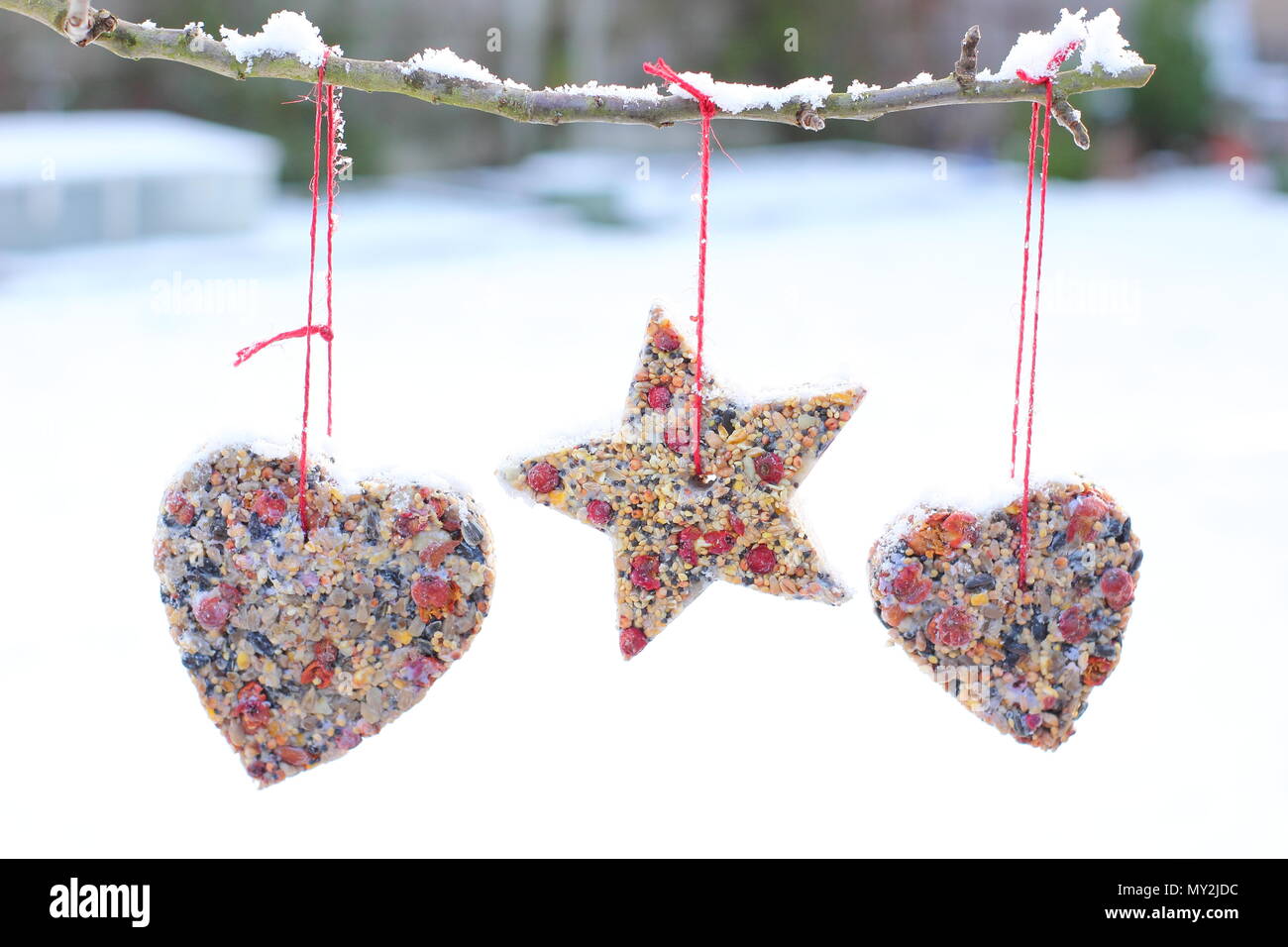 Hausgemachte Cookie Cutter Futterhäuschen mit Saatgut, Fett- und baumhecke Beeren aus einen kleinen Baum in einem Vorort Garten hing nach Schnee Herbst, Winter, Großbritannien Stockfoto