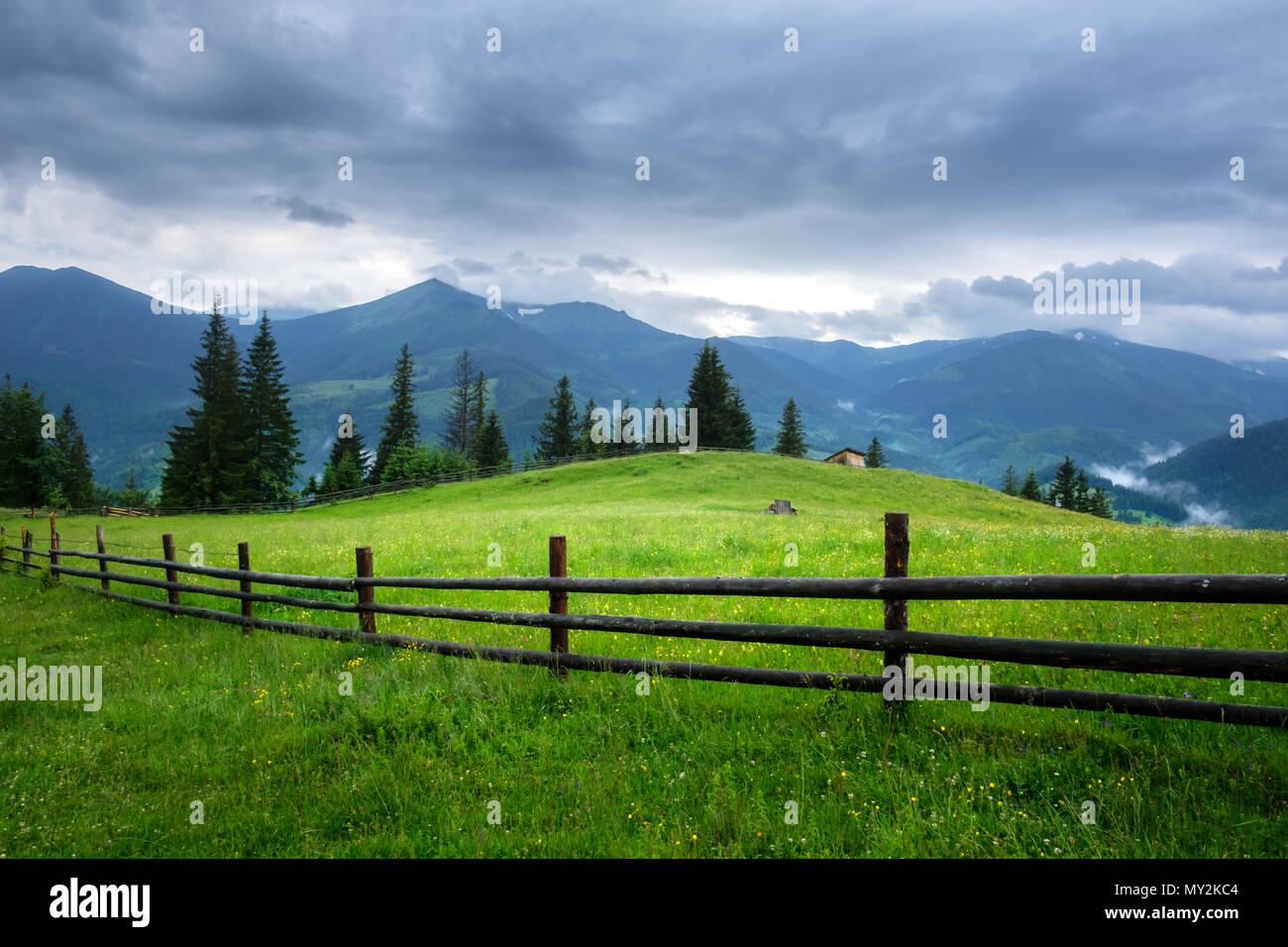 Malerische Sommer Landschaft im sonnigen Tag Stockfoto