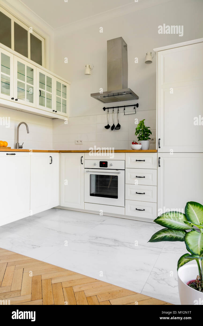 Werk In einfachen weißen Küche Interieur mit silber Dunstabzugshaube. Real Photo Stockfoto