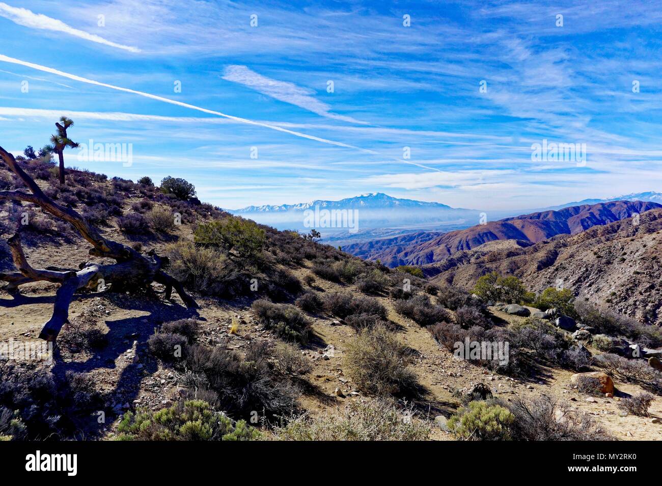 Panoramablick über Colorado Wüste und Coachella Valley von Joshua Tree National Park Stockfoto