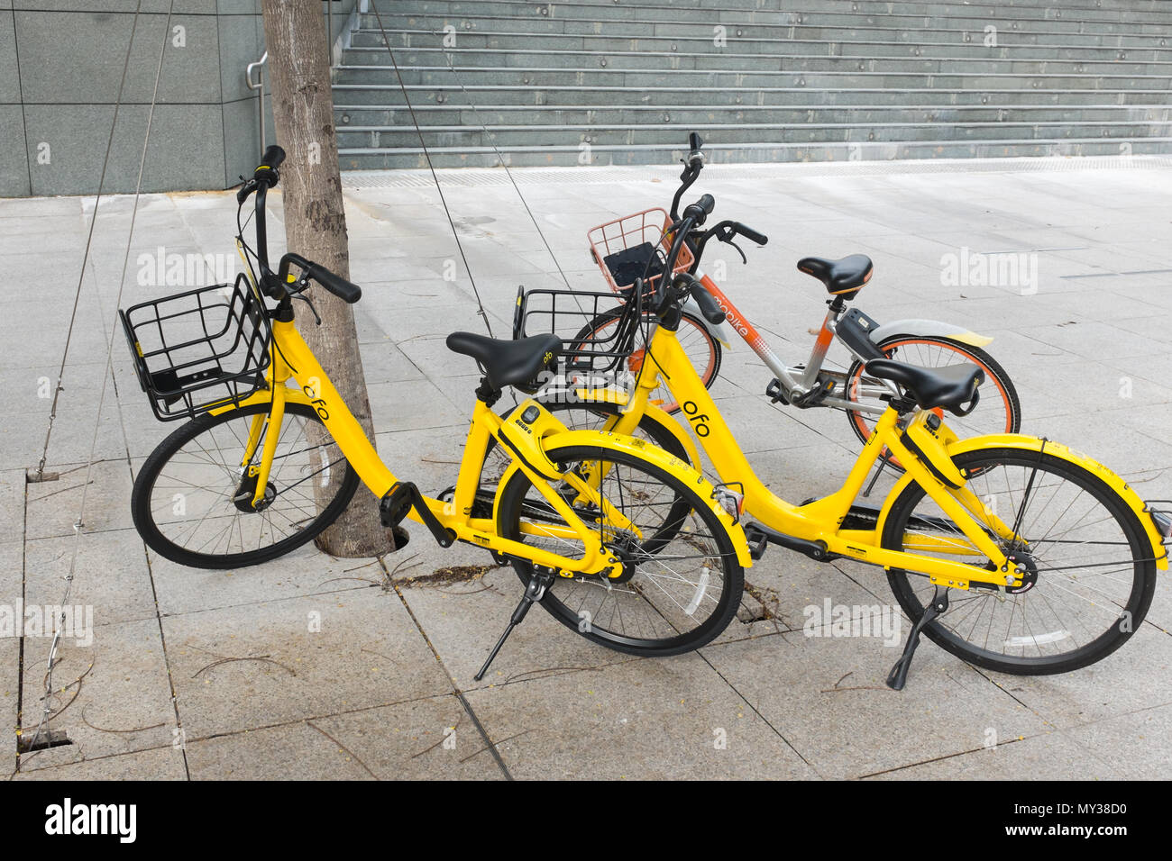 Station - freies Bike-sharing gelben ofo Fahrräder, die auf dem Gehsteig in Singapur Stockfoto