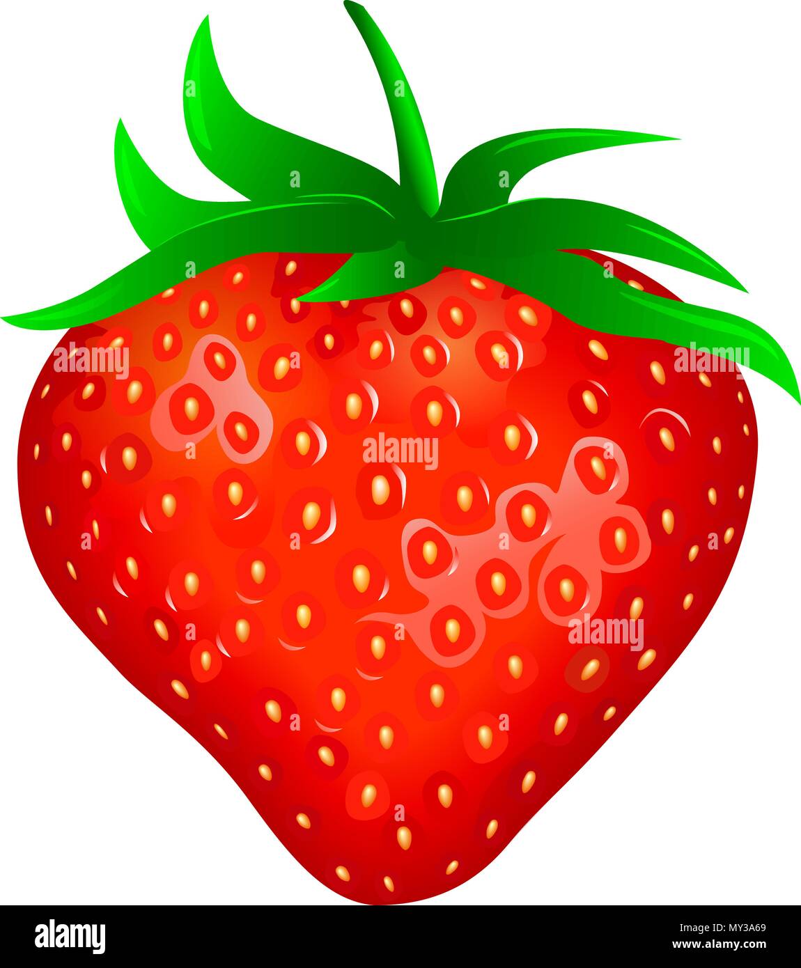 Erdbeeren auf einem weißen Hintergrund. Rote reife Erdbeere. Stock Vektor