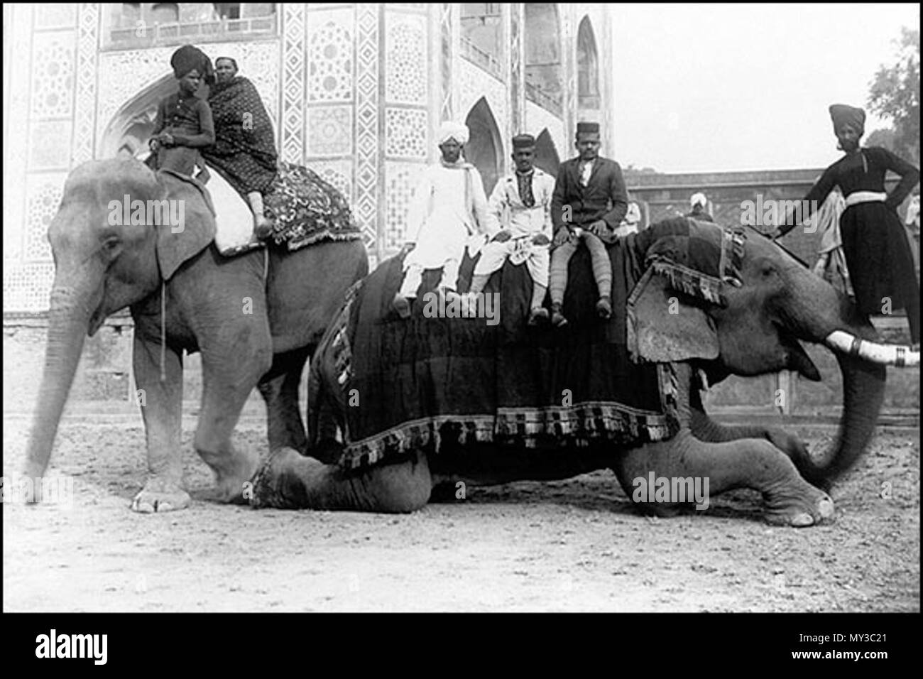 . Englisch: Sie können sogar auf die stoßzähne (ein Foto aus dem Jahr 1890 oder Anfang 1900) Quelle: ebay, Juni 2007. 1890 bis 1900. Unbekannt 572 Sie können auch auf die stoßzähne (ein Foto aus dem Jahr 1890 oder Anfang 1900) Stockfoto