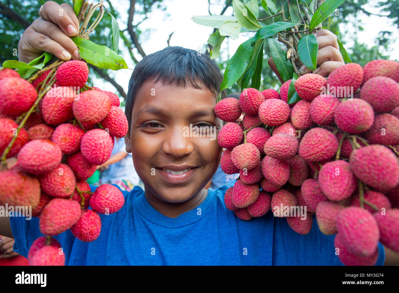 Ein Kind zeigt die große litschis Ihrer eigenen Garten an Rooppur, Ishwardi, Bangladesch. Stockfoto