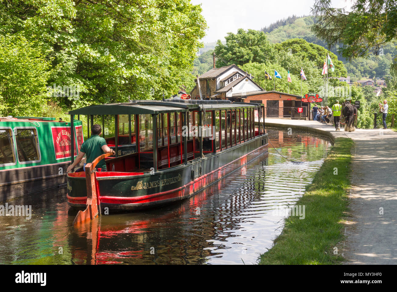 Pferd 15-04 mit Touristen ein Vergnügen Reise entlang der 200 Jahre alten Llangollen Canal in Nord Wales gezeichnet Stockfoto Pferd 15-04 mit Touristen ein Vergnügen Reise entlang der 200 Jahre alten Llangollen Canal in Nord Wales gezeichnet Stockfoto