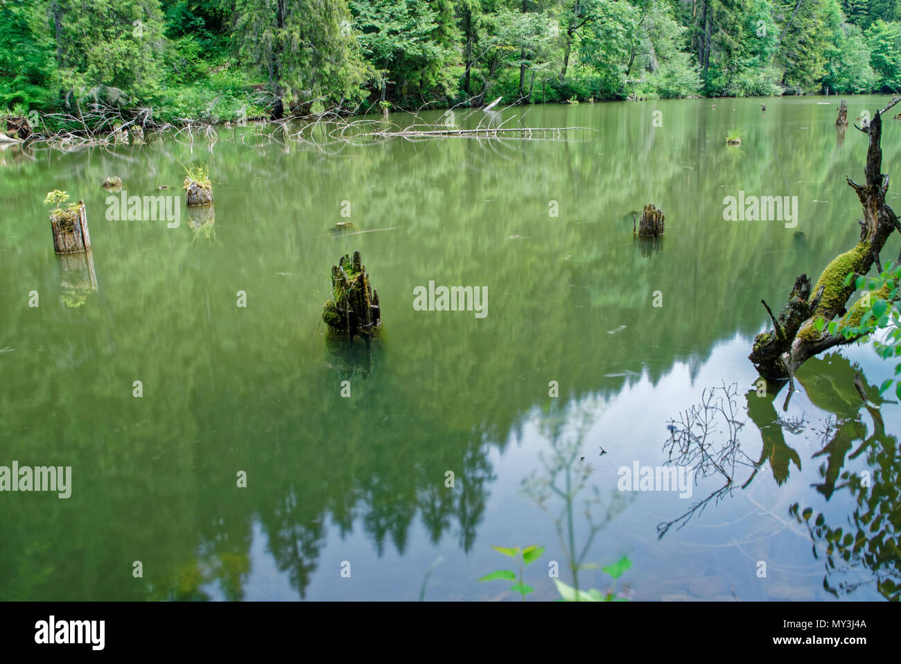 Road Trip wahr die wunderbare Natur und Landschaft Rumäniens Stockfoto