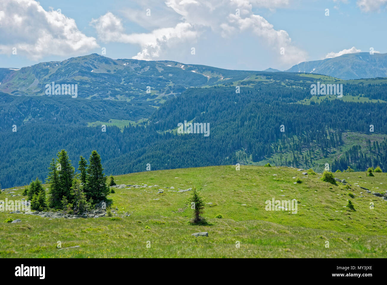 Road Trip wahr die wunderbare Natur und Landschaft Rumäniens Stockfoto