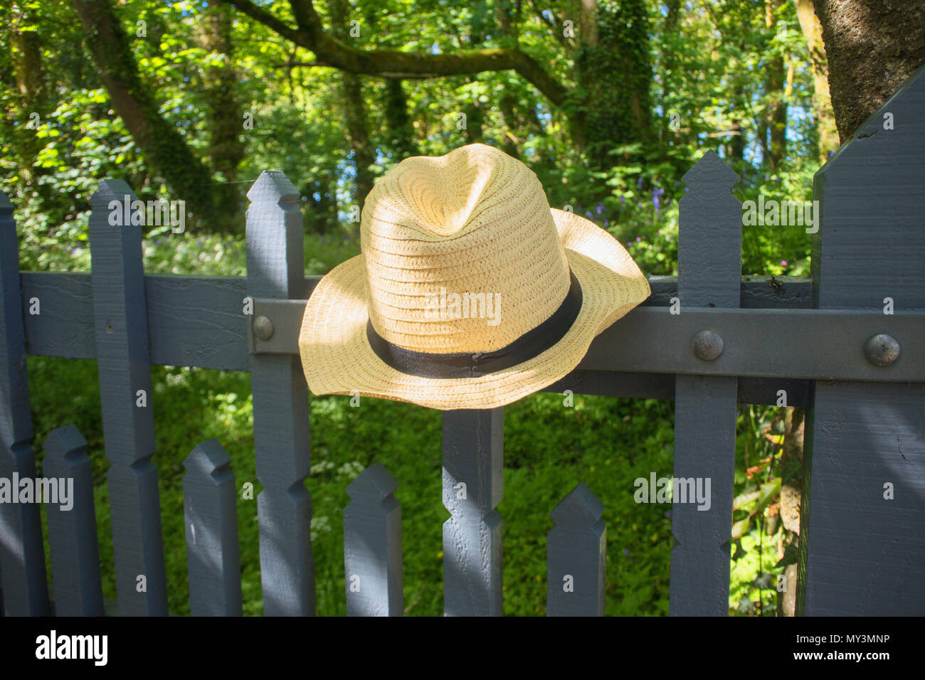 A bemannt Stroh Hut auf einem Garten Tor links - Johannes Gollop Stockfoto