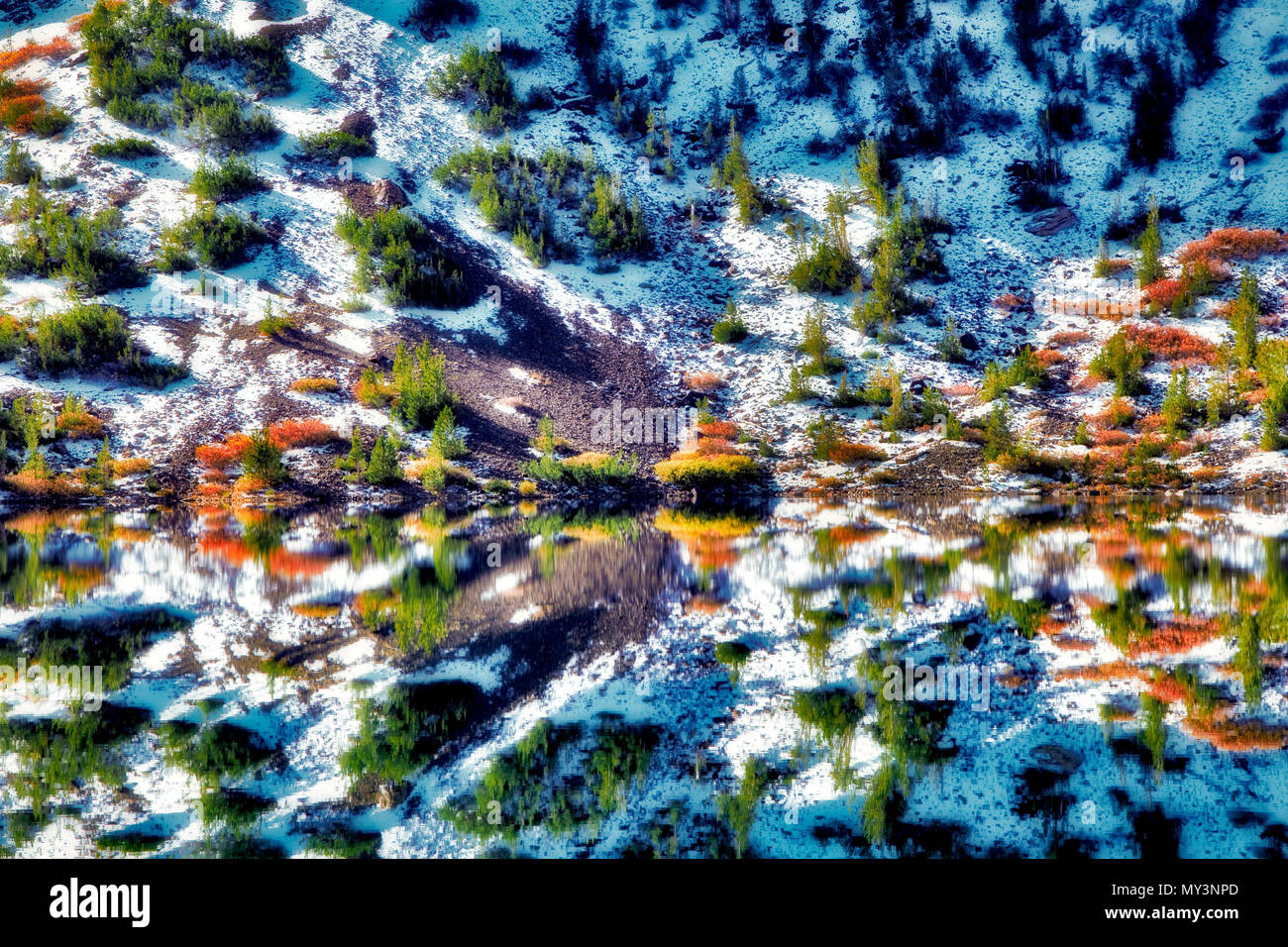 Ellery Lake mit Herbstfarben und Reflexion nach Schneefall. Inyo National Forest, Kalifornien Stockfoto