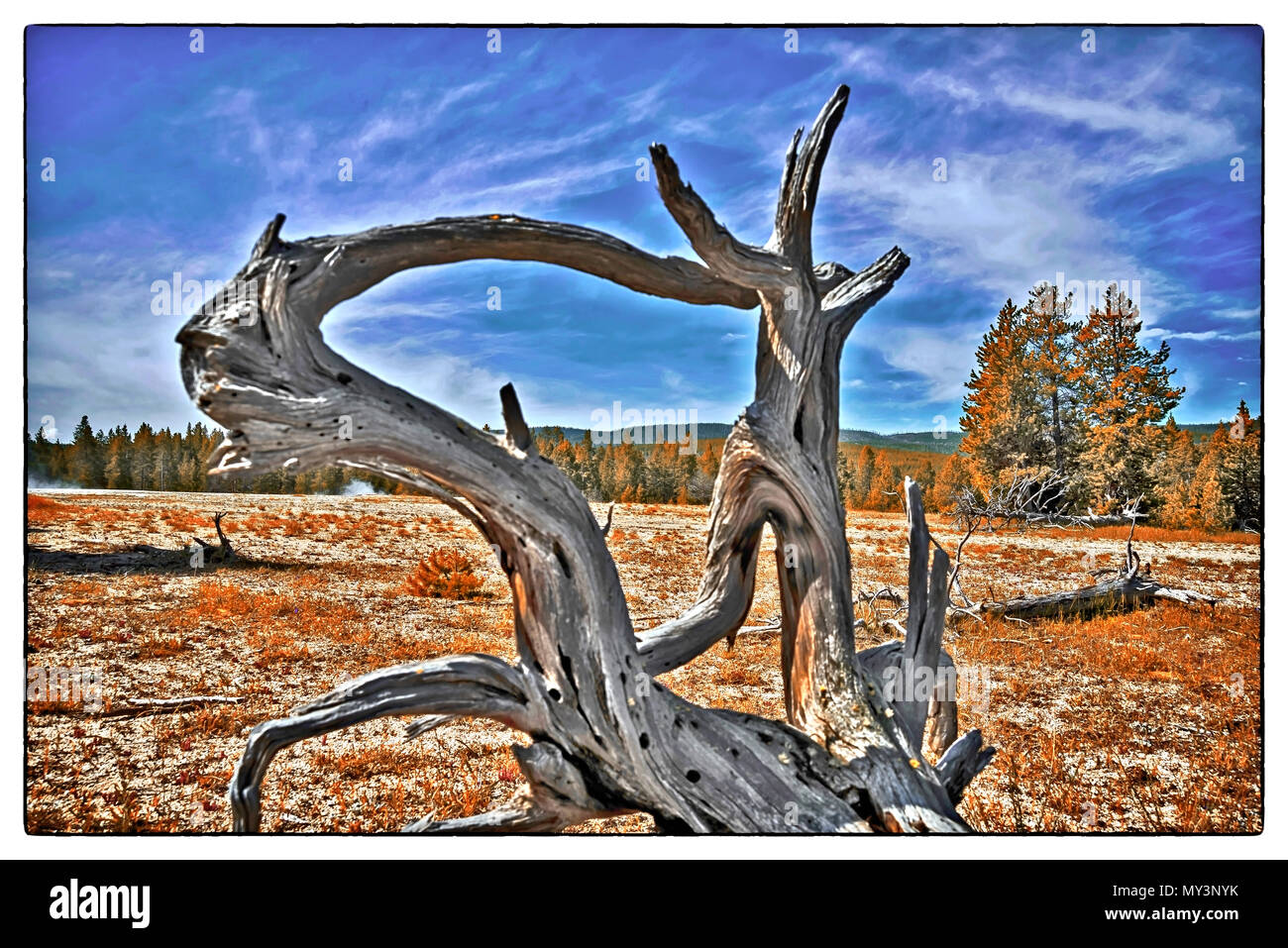 Dramatische Landschaft, Yellowstone National Park, Wyoming, USA Stockfoto