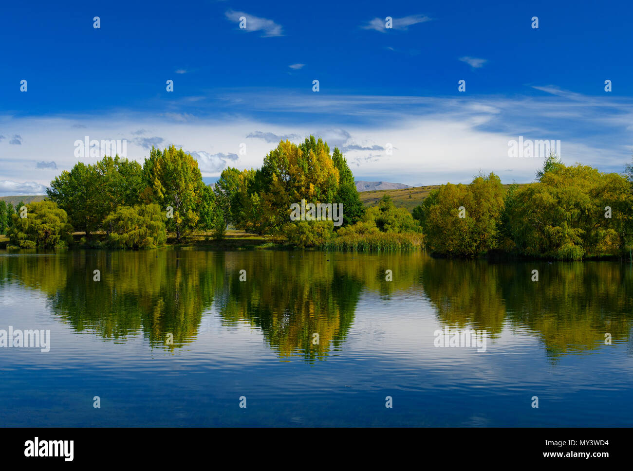 Blick auf die Bäume rund um den See im Herbst, Südinsel, Neuseeland Stockfoto