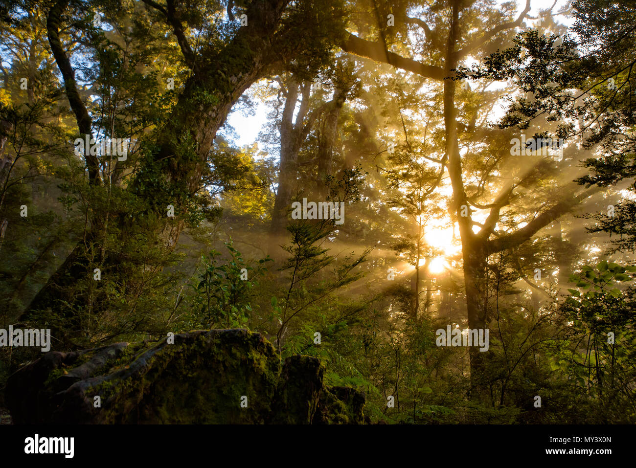 Licht der Morgensonne durch Nebel in den Bergen, Kepler Track, Te Anau, Neuseeland Stockfoto