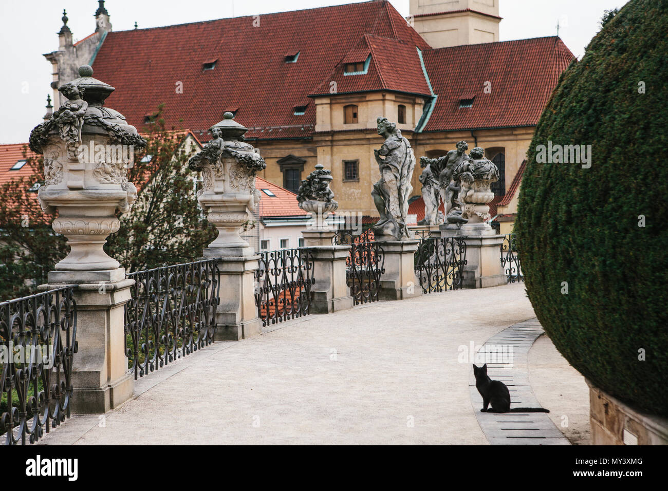 Prag, 18. September 2017: eine schwarze Katze sitzt auf dem Hintergrund der mittelalterlichen Architektur von Prag in der Tschechischen Republik Stockfoto