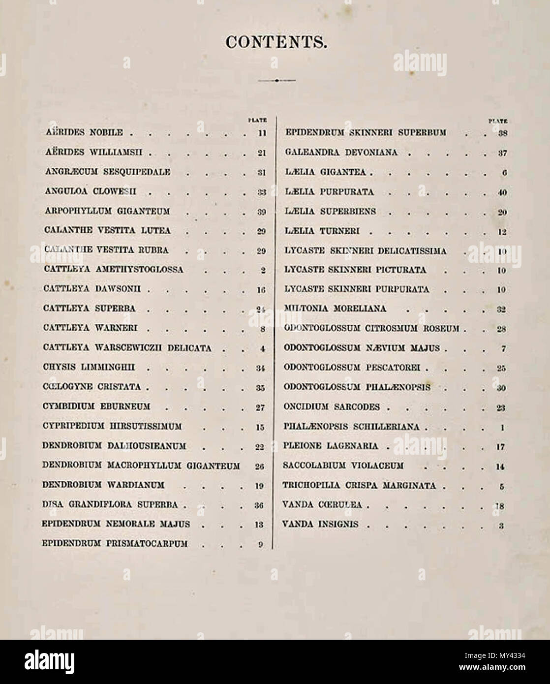 . Index:. zwischen 1862 und 1865. Walter Hood Fitch (1817-1892), Illustrator, Robert Warner (1814-1896) und Benjamin Samuel Williams (1822-1890) Editoren 480 Wählen Sie knabenkrautgewächse - Erste Serie - Index Stockfoto