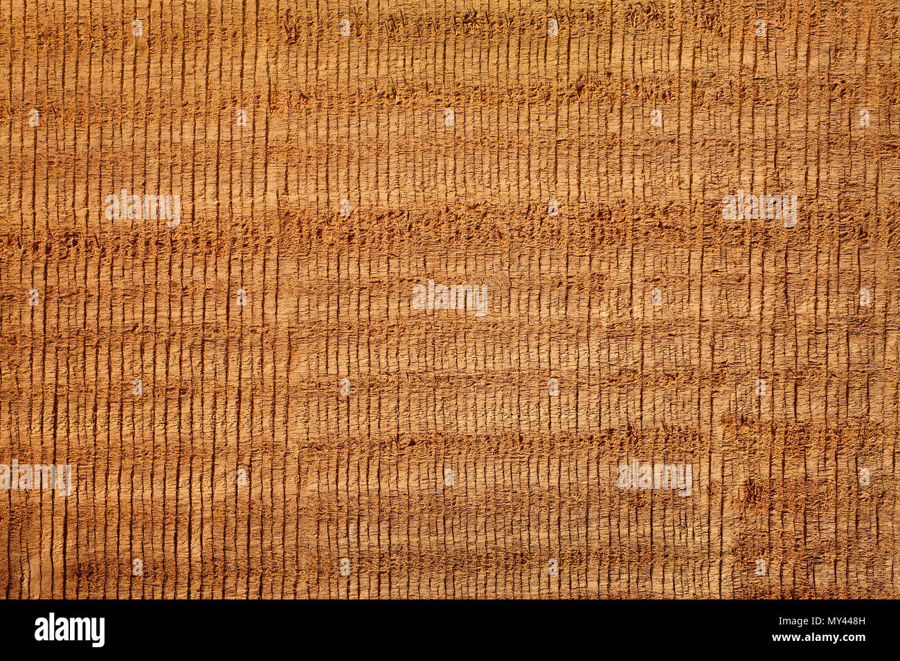 Holz Textur mit Spuren von der Säge für Hintergrund. Stockfoto