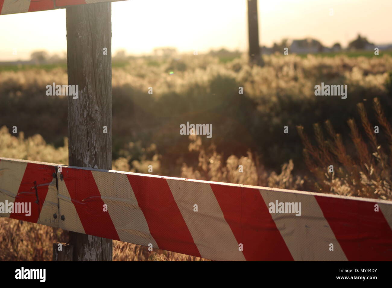 Eine Straßensperre steht vor einem weichen Hintergrund der sonnenbeschienenen Gras und Pflanzen. Stockfoto