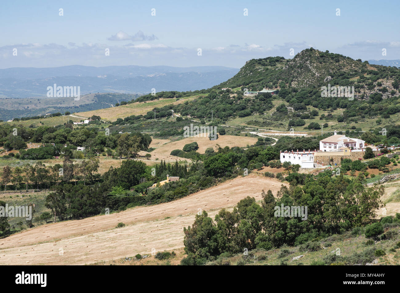 Hübsche andalusische Landschaft in der Nähe von Casares in der Provinz Malaga, Spanien Stockfoto