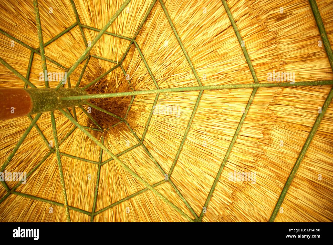 Thatch Sonnenschirm aus Holz Stockfoto