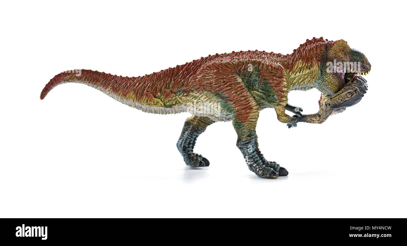 Tyrannosaurus beißen ein Dinosaurier Körper mit Blut auf weißem Hintergrund Stockfoto