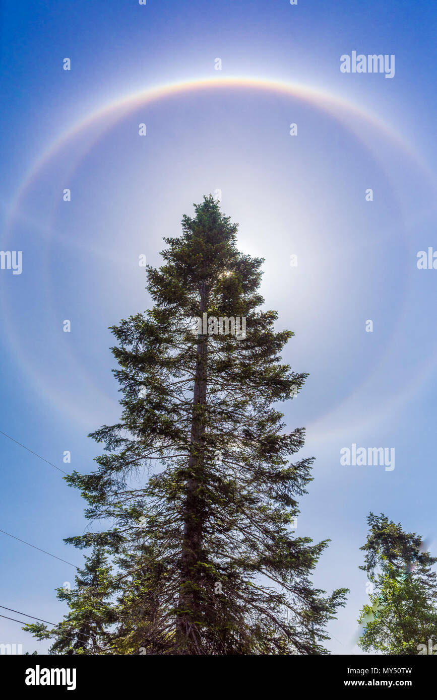 22 grad -Fotos und -Bildmaterial in hoher Auflösung – Alamy