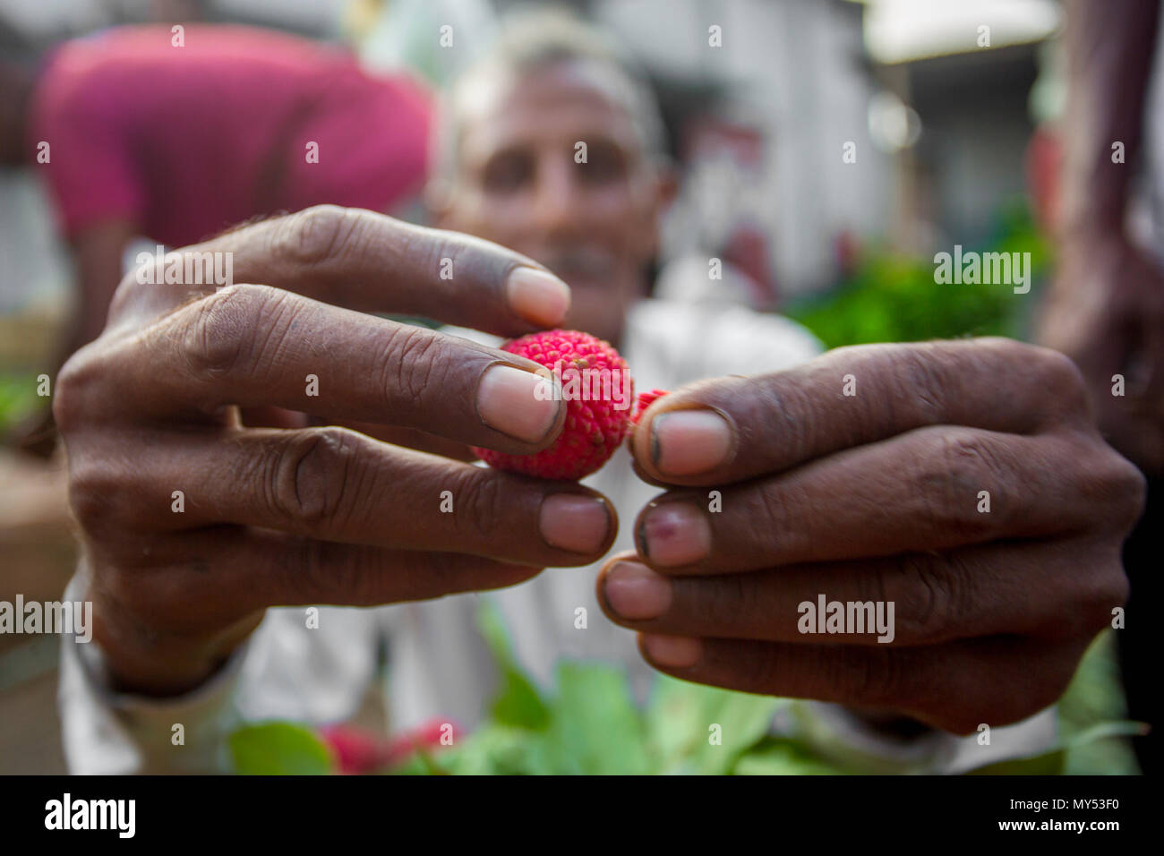 Litschi schalen Blick über in Shimultoli Bazar an Rooppur, Ishwardi, Bangladesch. Stockfoto