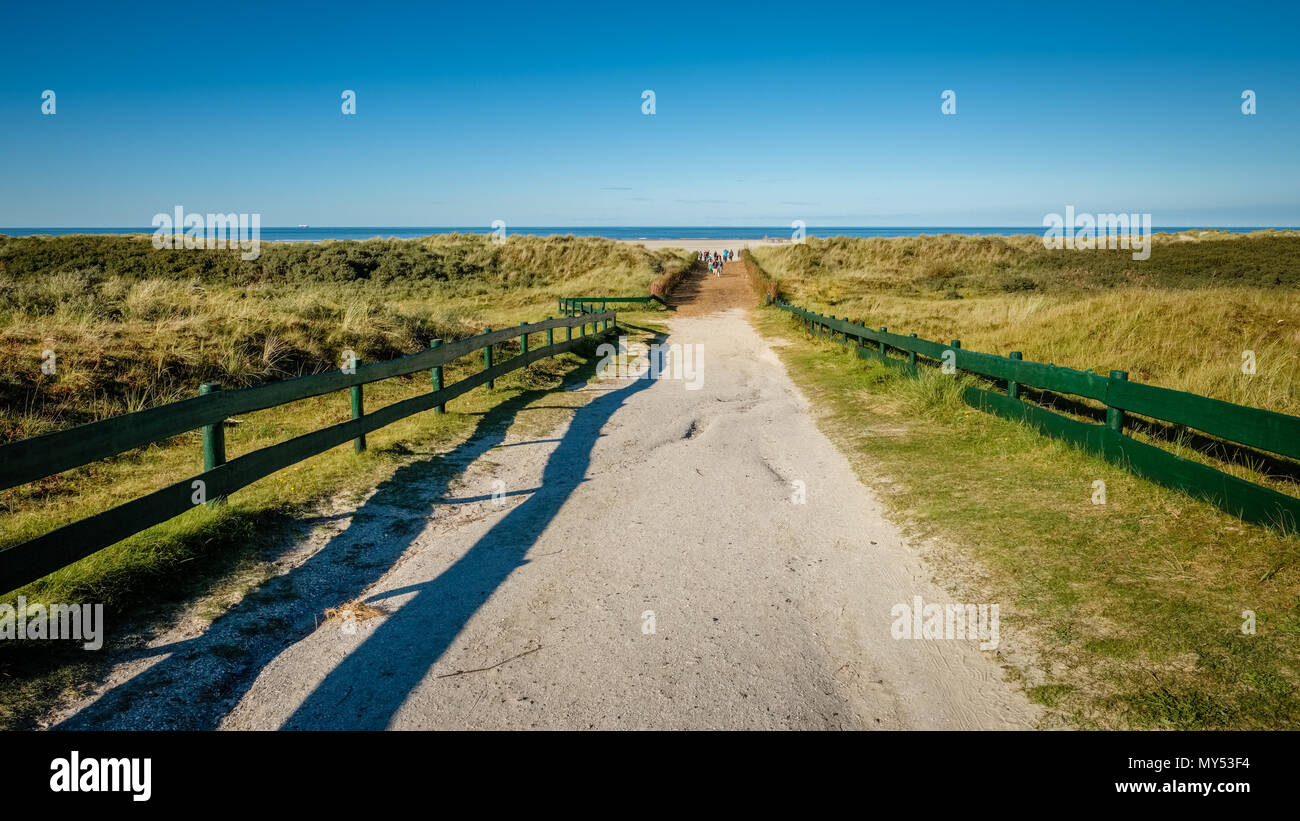 Auf der Suche nach einem Weg, führt zum Strand im Wattenmeer Insel Schiermonnikoog (Friesland, Niederlande) auf einem sonnigen September Nachmittag Stockfoto