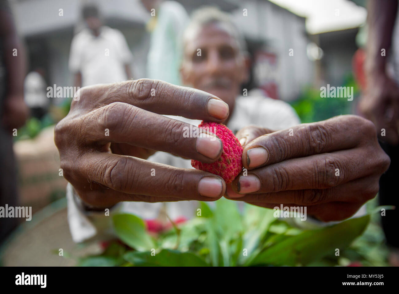 Litschi schalen Blick über in Shimultoli Bazar an Rooppur, Ishwardi, Bangladesch. Stockfoto