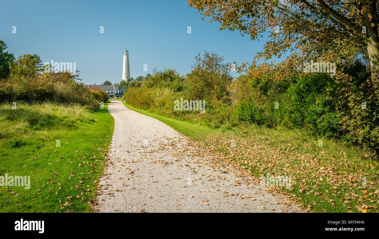Das Wattenmeer Insel Schiermonnikoog (Friesland, Niederlande) hat auch die Wälder. Sie sind schön auf einem Ende September Sonntag Morgen Stockfoto