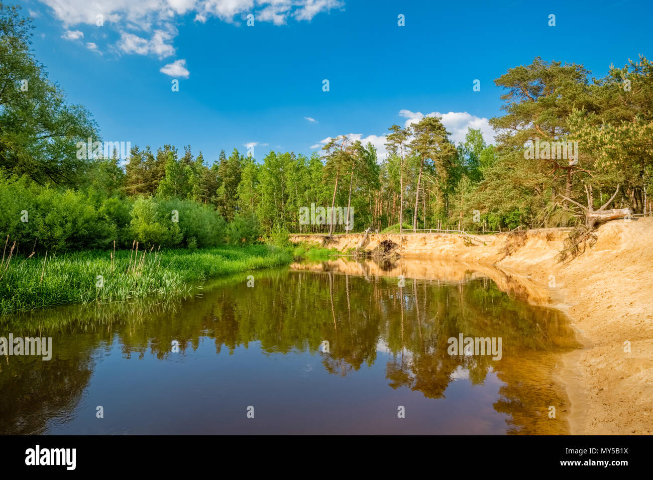 Typische holländische Landschaft von 't Lutterzand, einem Waldgebiet in der Nähe der deutschen Grenze und eine geologische Denkmal. Es ist durch den Fluss der Dinkel geprägt. Stockfoto