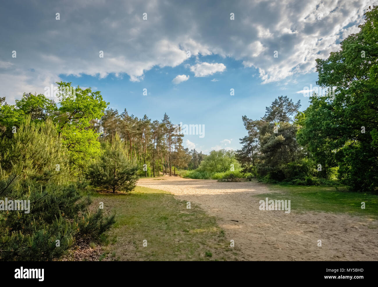 Typische holländische Landschaft von 't Lutterzand, einem Waldgebiet in der Nähe der deutschen Grenze und eine geologische Denkmal. Es ist durch den Fluss der Dinkel geprägt. Stockfoto