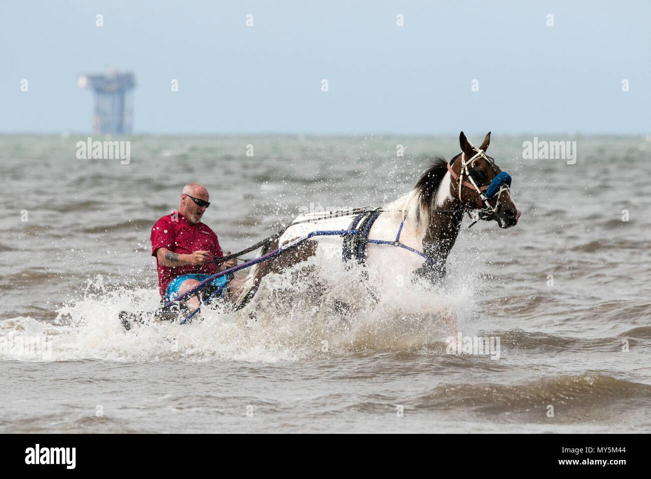 Sulky Warenkorb Reiter auf Southport, Merseyside. 6. Juni 2018. Bernard Perry [MR] ist in seinem Jockey Warenkorb oder Sulky von seiner Geliebten 6-jährige Stute "Trigger", die entlang der Küste von der Flut am Strand in Southport, Merseyside geschleppt. Ein Sulky ist ein leichtes Warenkorb in zwei Räder und einen Sitz für den Fahrer & ist in der Regel für Trabrennen eingesetzt. Credit: cernan Elias/Alamy leben Nachrichten Stockfoto