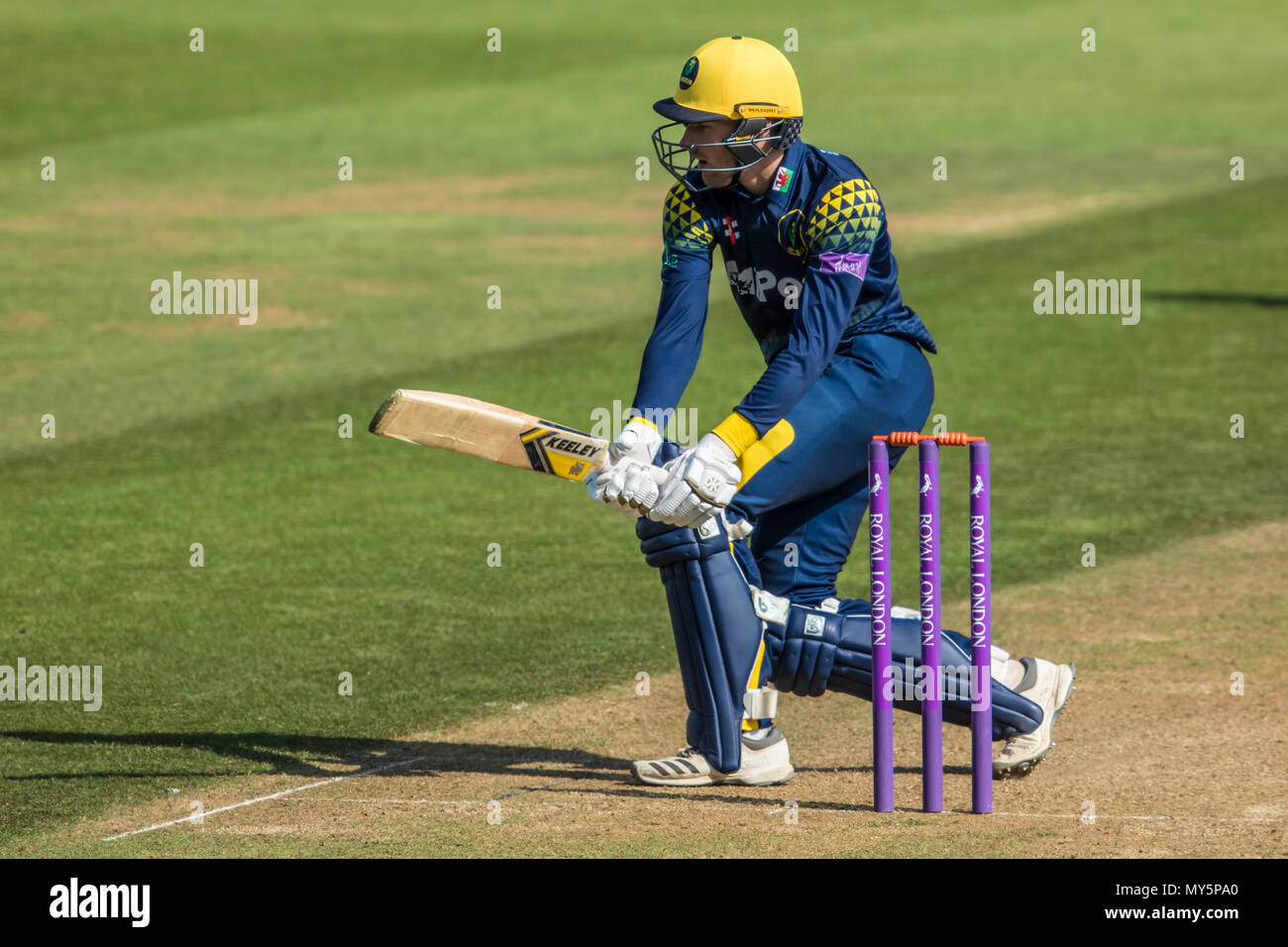 London, Großbritannien. 6. Juni 2018. Connor Brown schlagen für Glamorgan gegen Surrey in der Royal London eintägiger Pokalspiel am Oval. David Rowe/Alamy leben Nachrichten Stockfoto