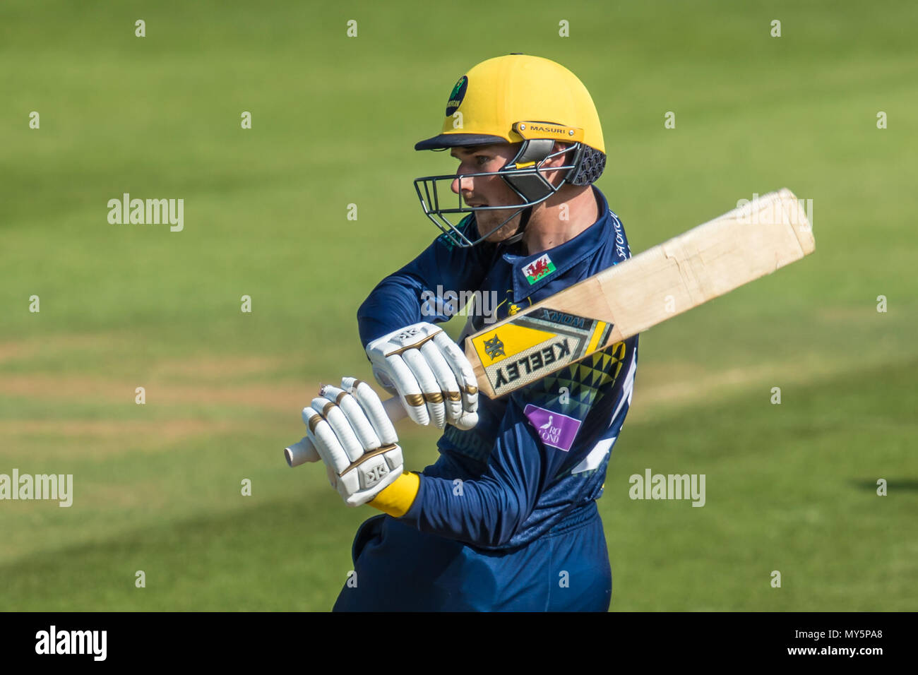 London, Großbritannien. 6. Juni 2018. Connor Brown schlagen für Glamorgan gegen Surrey in der Royal London eintägiger Pokalspiel am Oval. David Rowe/Alamy leben Nachrichten Stockfoto