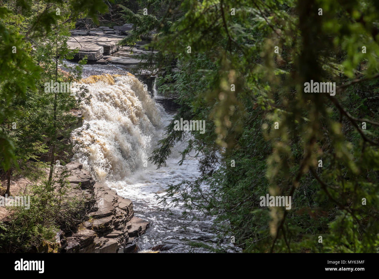 Alberta, Michigan - Schlucht fällt, auf der Stör Fluss in der oberen Halbinsel von Michigan. Stockfoto