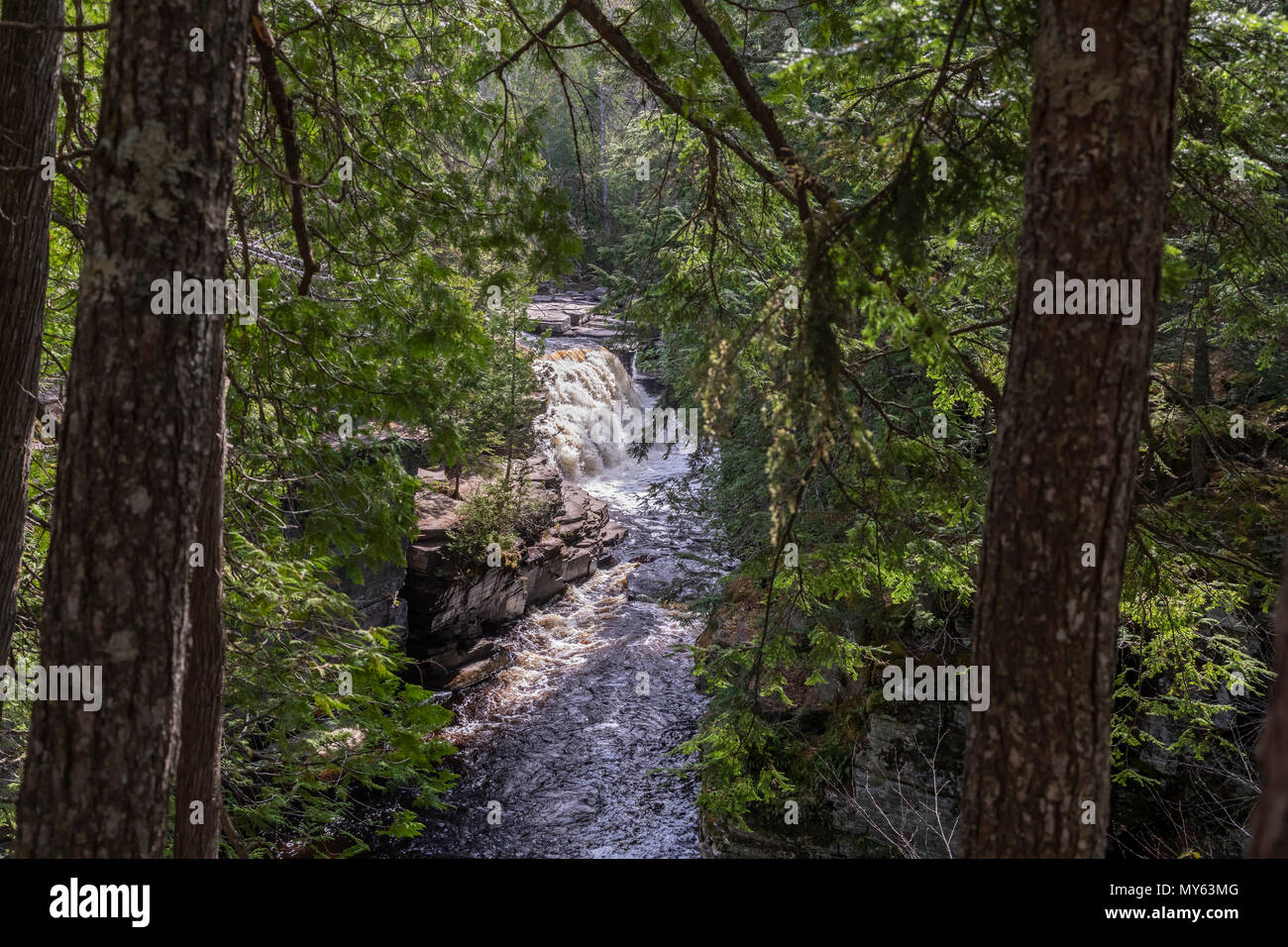 Alberta, Michigan - Schlucht fällt, auf der Stör Fluss in der oberen Halbinsel von Michigan. Stockfoto