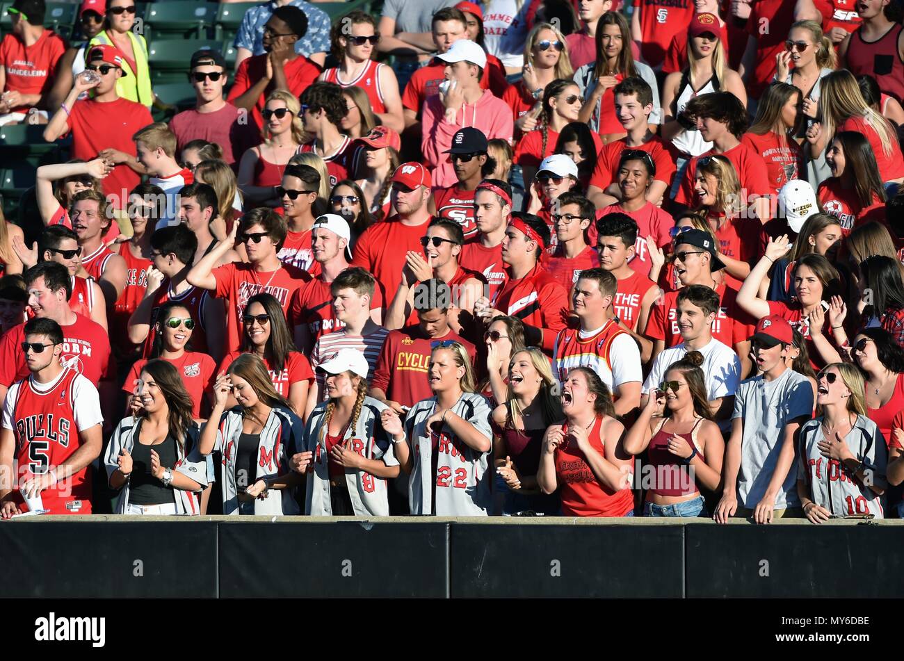 Student Abschnitt in starke Beweise und Voice Anfeuern ihrer Mannschaft während einer High School Baseball Playoff Spiel. USA. Stockfoto
