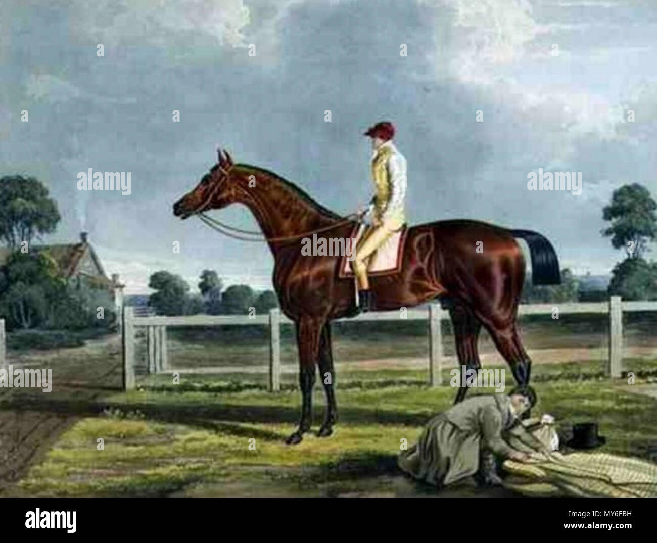 . Englisch: Malerei der Rennpferd Nachtschwärmer, Gewinner der 1818 St Leger, von John Frederick Herring, Sr. (1795-1865). 1. Oktober 2012, 00:08:51. John Frederick Herring, Sr 452 Nachtschwärmer (Pferd) Stockfoto