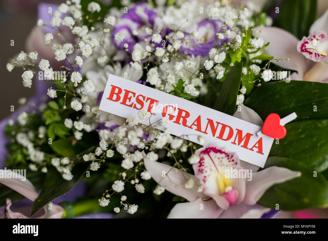 Schöne Blumen Geschenk für Großeltern-Tag mit Grußkarte. Ansicht von oben, close-up. Herzlichen Glückwunsch für lieben. Strauß Orchideen für Oma. Beste Großeltern jemals Stockfoto