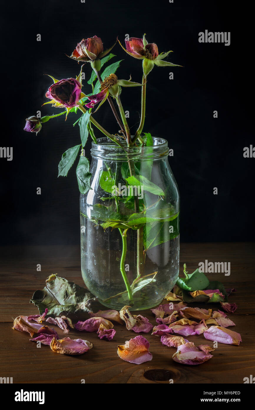Stillleben mit verwelkten Rosen in Glasvase auf hölzernen Tisch Stockfoto